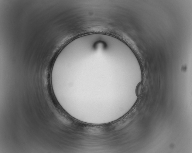 X0000116850106201001121228