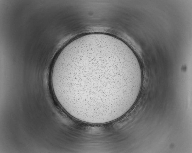 X0000116850107201001121228