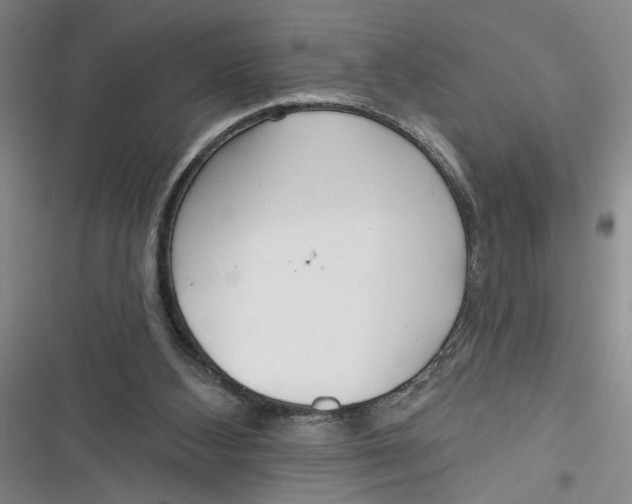 X0000116850108201001121228