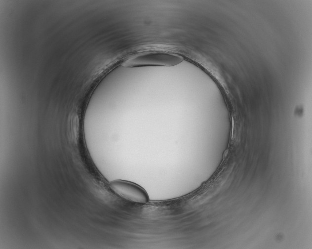 X0000116850109201001121228