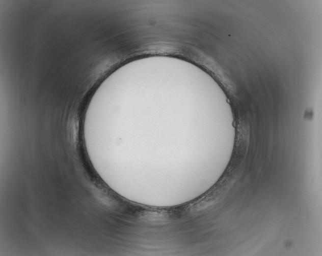 X0000116850110201001121228