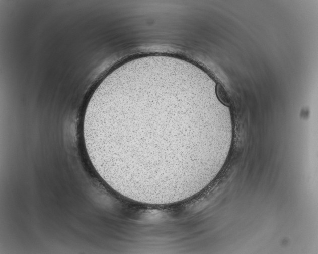 X0000116850111201001121228