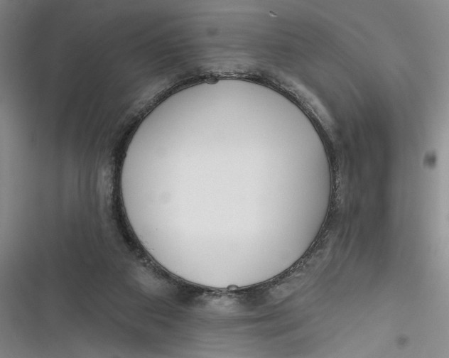 X0000116850113201001121228