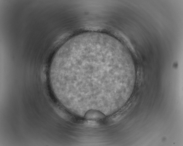 X0000116850114201001121228