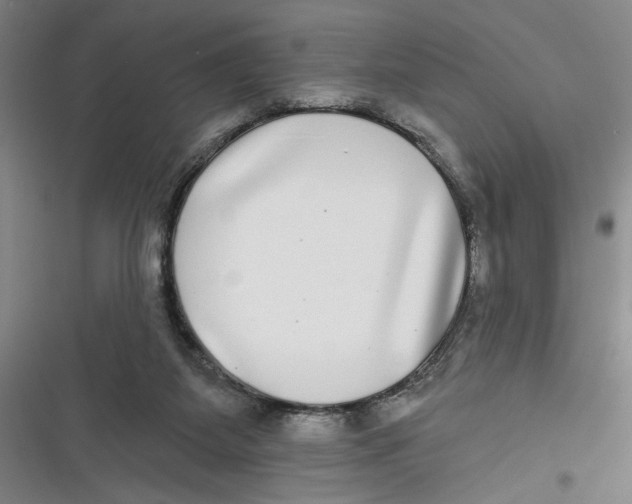 X0000116850115201001121228