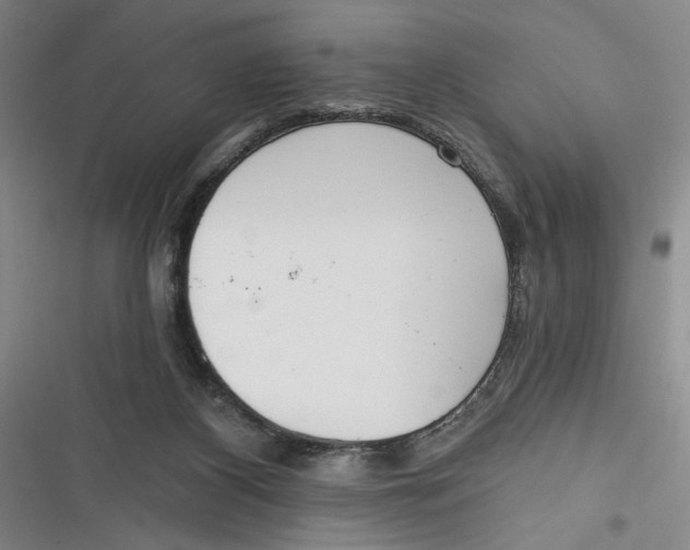 X0000116850116201001121228