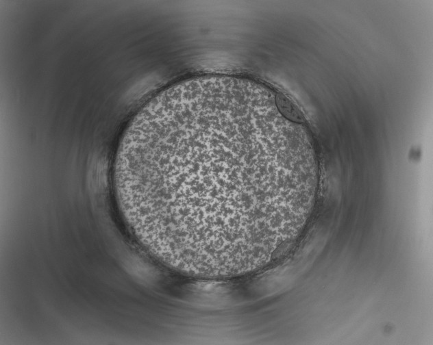 X0000116850117201001121228