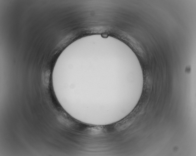 X0000116850118201001121228