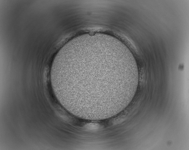 X0000116850119201001121228