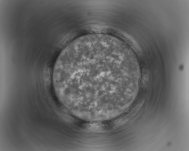 X0000116850121201001121228
