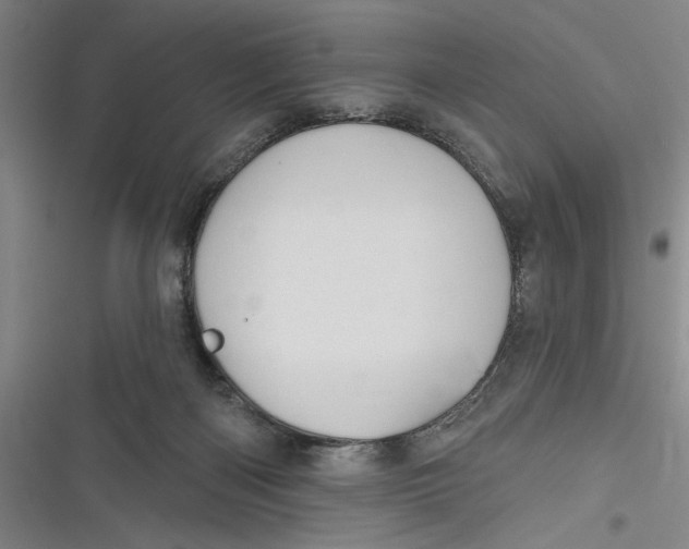 X0000116850122201001121228