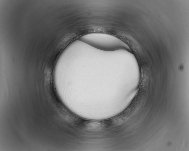 X0000116850123201001121228