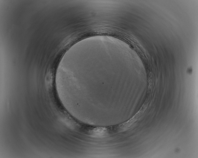 X0000116850124201001121228