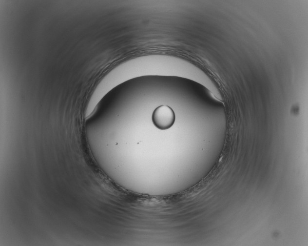 X0000116850125201001121228