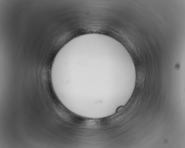 X0000116850126201001121228