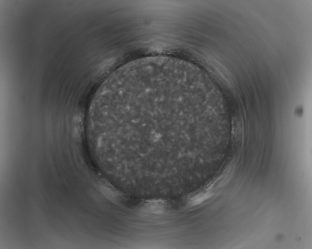 X0000116850127201001121228