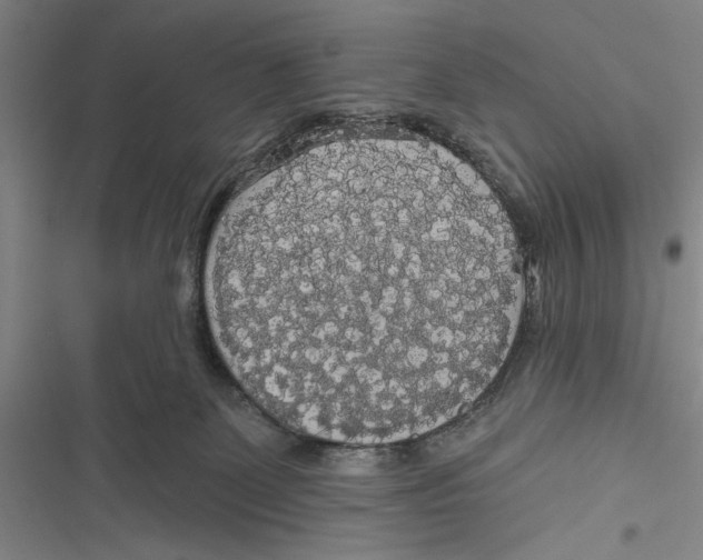 X0000116850131201001121228
