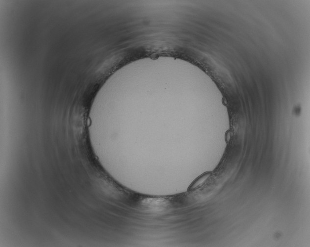 X0000116850133201001121228