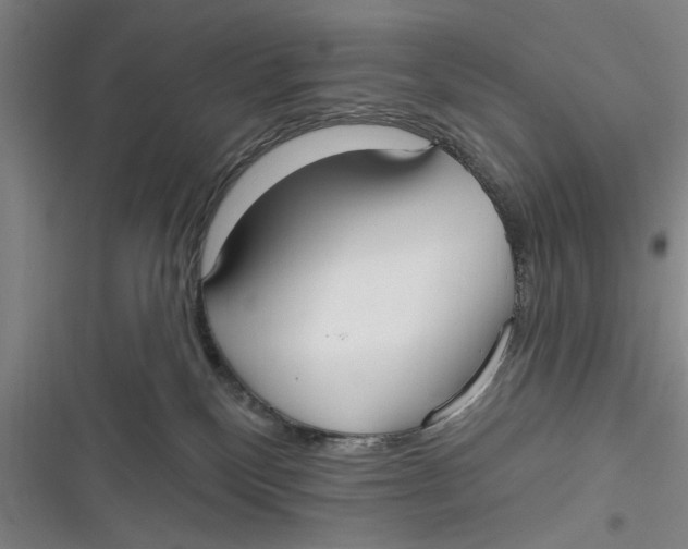 X0000116850136201001121228