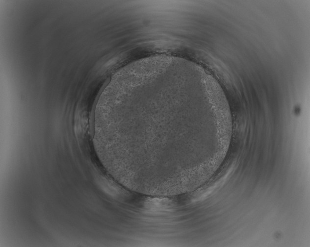 X0000116850137201001121228