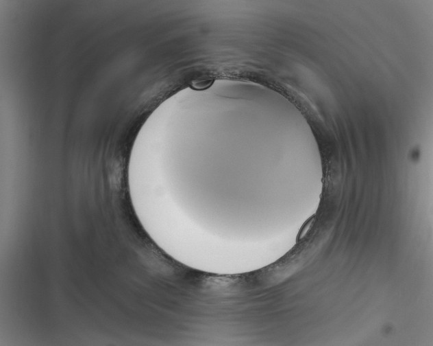 X0000116850139201001121228
