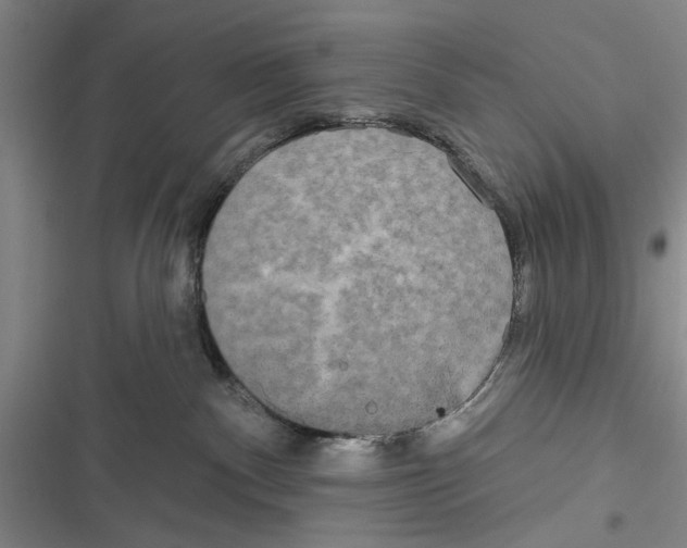 X0000116850140201001121228