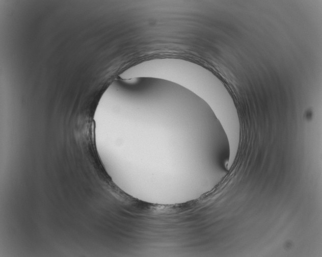 X0000116850141201001121228
