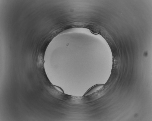 X0000116850143201001121227