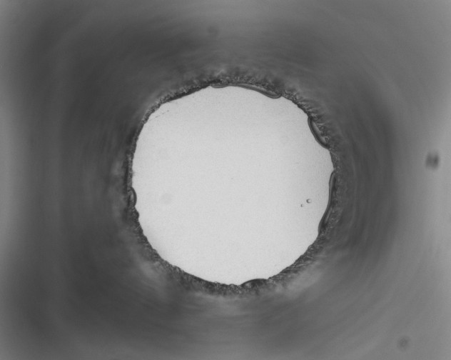X0000116850144201001121227
