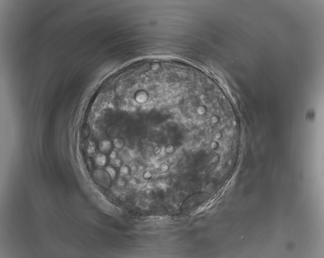 X0000116850145201001121227