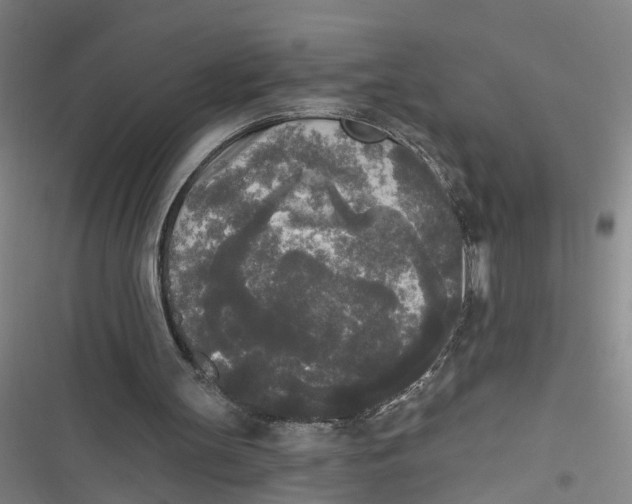 X0000116850147201001121227