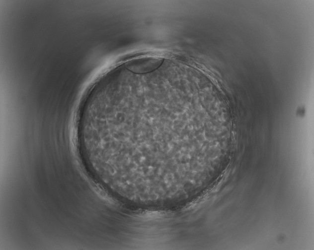 X0000116850149201001121227