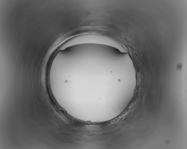 X0000116850150201001121227