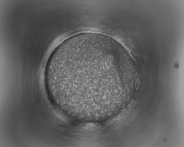 X0000116850151201001121227