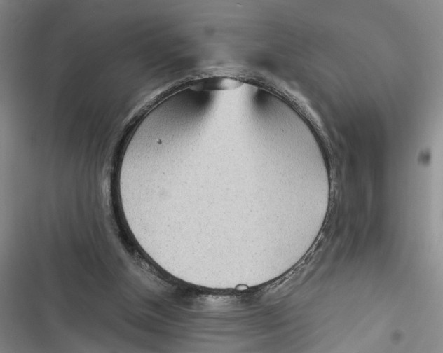 X0000116850154201001121227