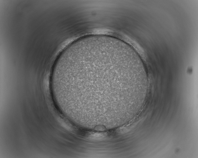X0000116850155201001121227