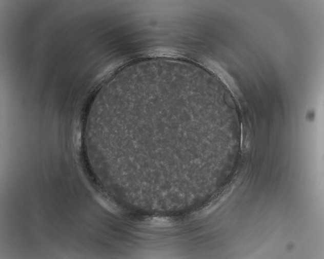 X0000116850157201001121227