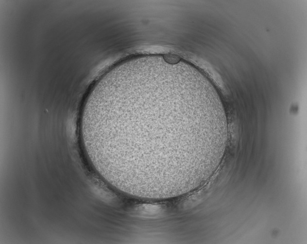 X0000116850159201001121227