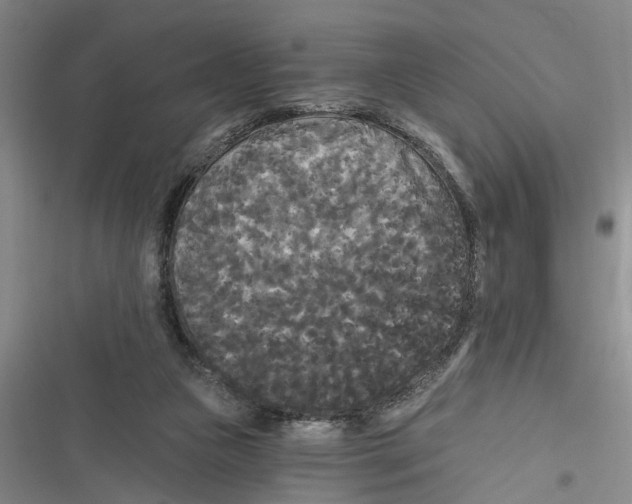 X0000116850161201001121227