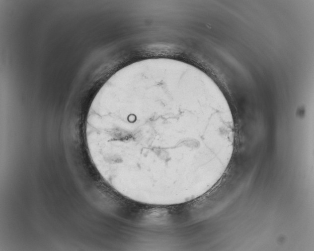 X0000116850162201001121227
