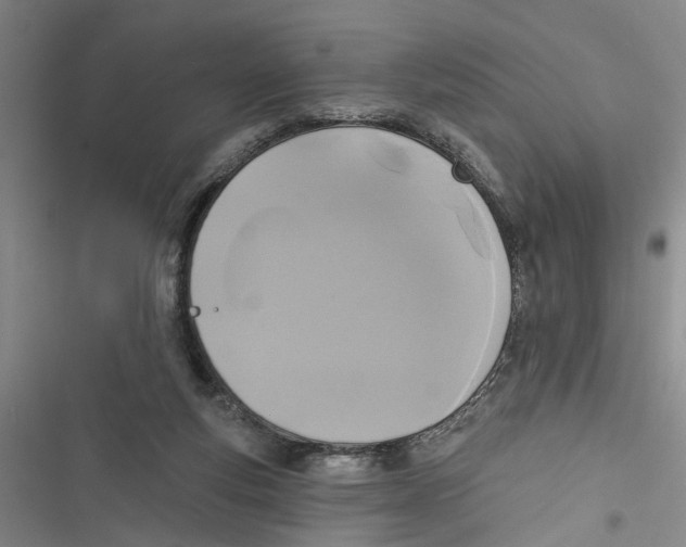 X0000116850163201001121227