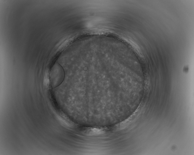 X0000116850166201001121227