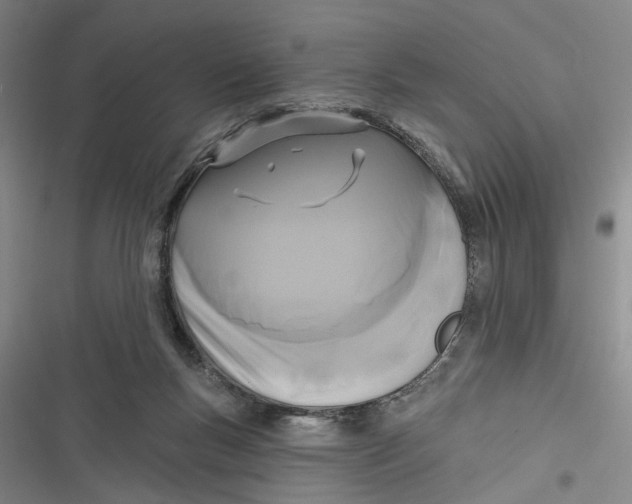 X0000116850167201001121227