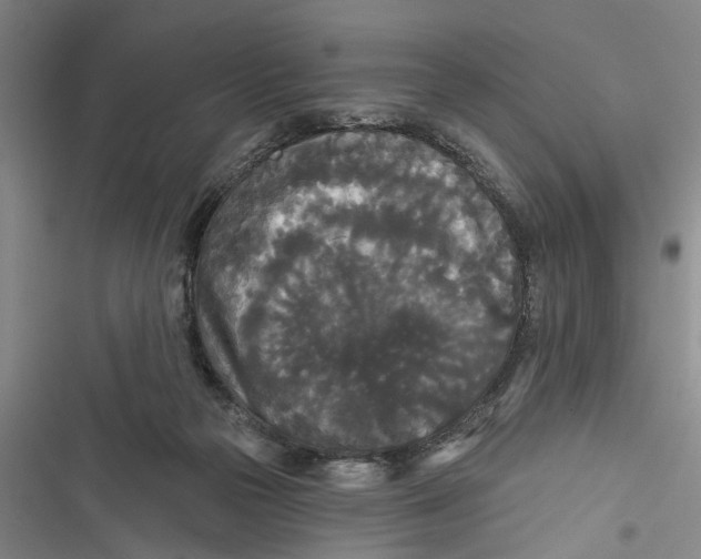 X0000116850169201001121227