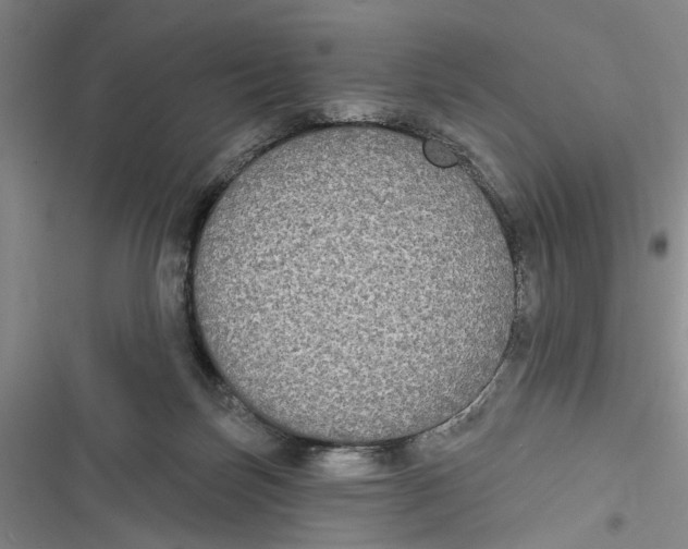 X0000116850171201001121227