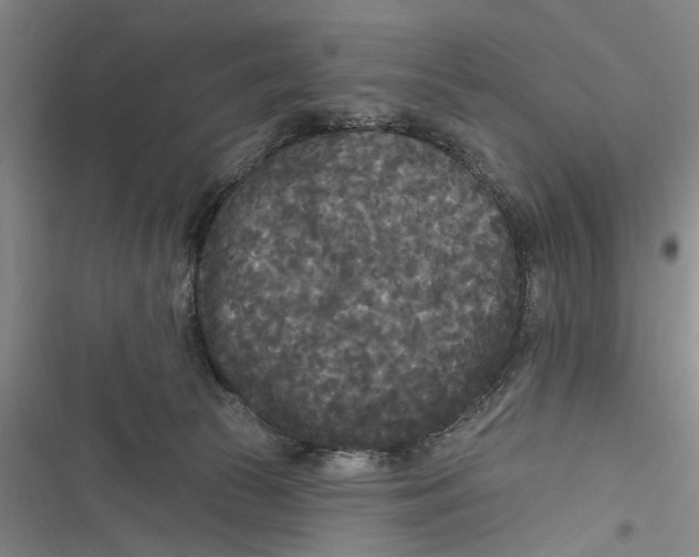 X0000116850177201001121227
