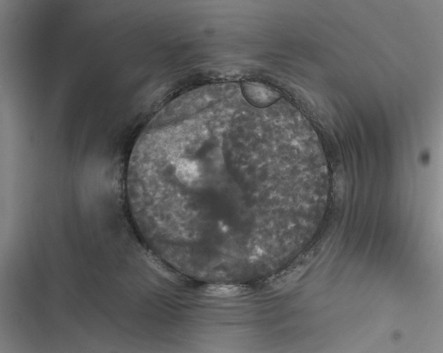 X0000116850181201001121227
