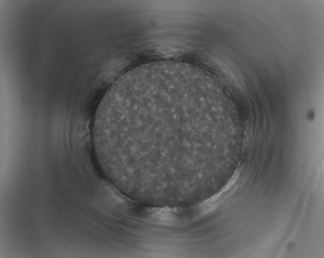 X0000116850182201001121227