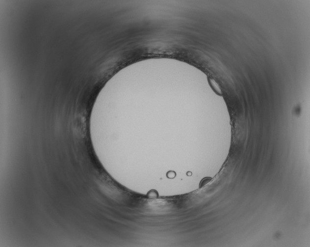 X0000116850183201001121227