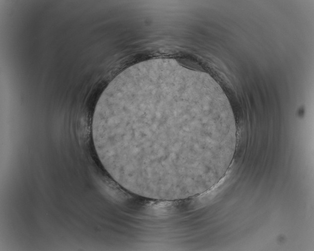 X0000116850186201001121227
